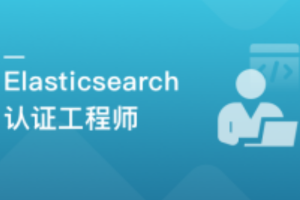 国际证书-Elasticsearch 认证工程师 一站式通关课（已完结）