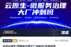 马哥云原生微服务治理大厂冲刺班名师亲授N66（完整，视频+资料）
