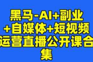 黑马-AI+副业+自媒体+短视频运营直播公开课合集
