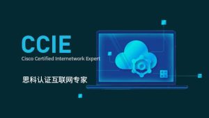 新盟康sir-CCIE-LAB录屏-37期