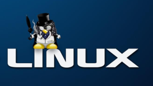 新盟linux中级资料包