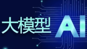 码同学-vip大模型AI课程