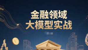 金融领域大模型实战