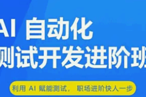 慧测但问AI全栈测试开发进阶3期2025